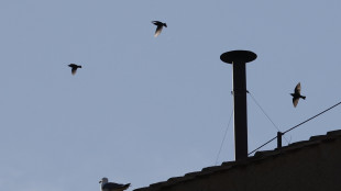Già 30mila a San Pietro per la fumata, flusso in aumento