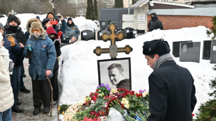 Navalny: le Kremlin juge "infond&eacute;es" les accusations europ&eacute;ennes d'empoisonnement