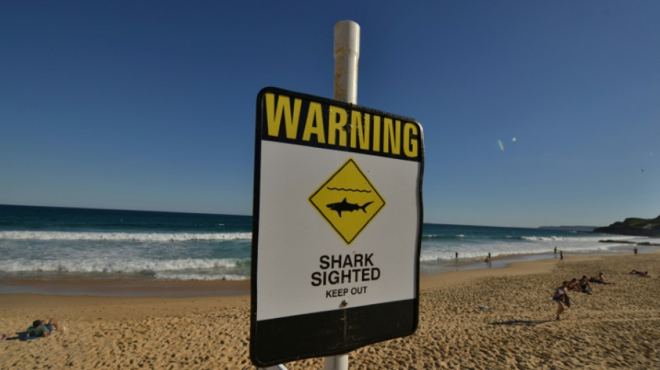 Un tibur&oacute;n mata a un adolescente en Australia Meridional