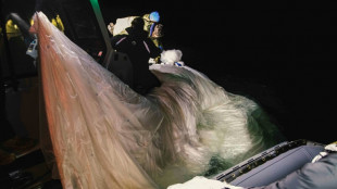 EEUU derriba un nuevo "objeto" volador, el cuarto en menos de 10 d&iacute;as