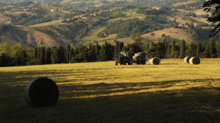 Riparte Generazione terra di Ismea, 120 milioni per giovani agricoltori