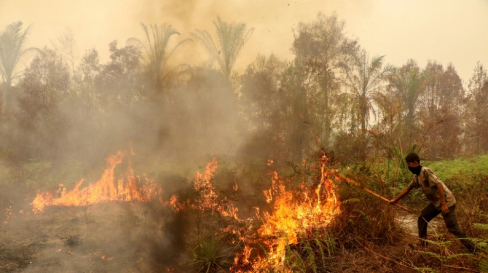 Waldbr&auml;nde in Indonesien: Mindestens 300 H&auml;user auf Sumatra zerst&ouml;rt