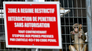 En Provence, l'extension d'un discret centre d'élevage de singes de laboratoire divise