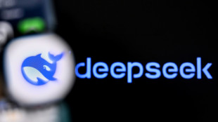 As US battles China on AI, some companies choose Chinese