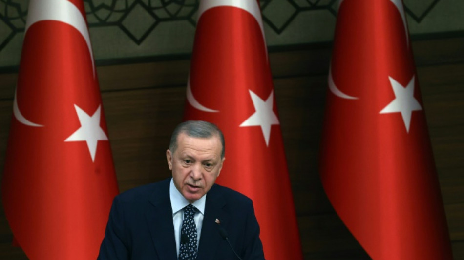 Turqu&iacute;a "no est&aacute; en condiciones" de ratificar la adhesi&oacute;n de Suecia a la OTAN