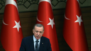 Turqu&iacute;a "no est&aacute; en condiciones" de ratificar la adhesi&oacute;n de Suecia a la OTAN
