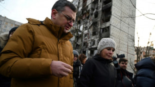 Ukraine presses Germany for tanks as minister visits