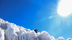 Schneeh&ouml;hle als Klima-Archiv der Erde: Erste Eisbohrkerne in Antarktis-Lagerst&auml;tte