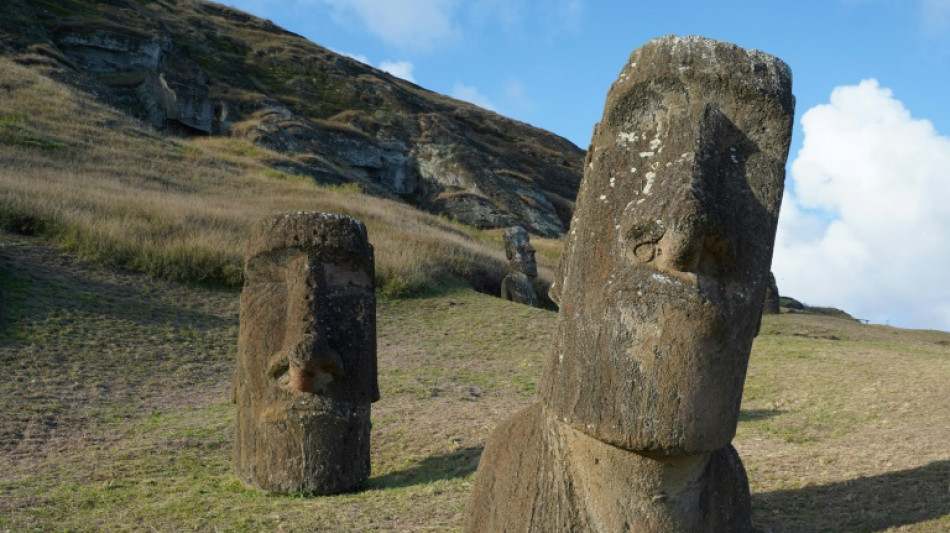 La th&egrave;se d'un "&eacute;cocide" sur l'&icirc;le de P&acirc;ques vacille