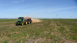 Erzeugerpreise f&uuml;r landwirtschaftliche Produkte steigen im Jahresvergleich