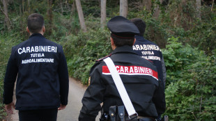 Pascoli inesistenti, sequestrati beni a 4 allevatori in ambito fondi Pac