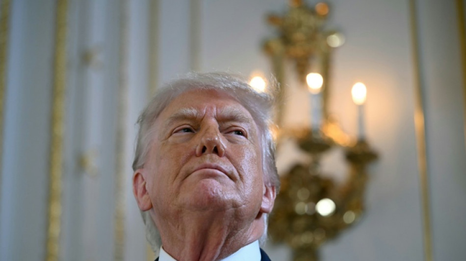 Trump propose un "Conseil de paix" concurrent de l'ONU et totalement &agrave; sa main