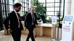 Droits de douane: "pas de tabou à avoir" sur les services américains, répète le gouvernement