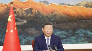 Xi, Cina e Russia forze costruttive per stabilità globale