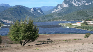 Rapporto Camera, rinnovabili coprono 20% dei consumi energia, al 2030 serve il doppio