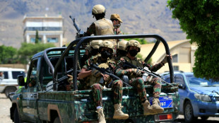 For&ccedil;as do governo iemenita atacam houthis na costa do Mar Vermelho