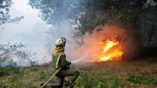 Europa registró emisiones de carbono récord debido a los incendios del verano