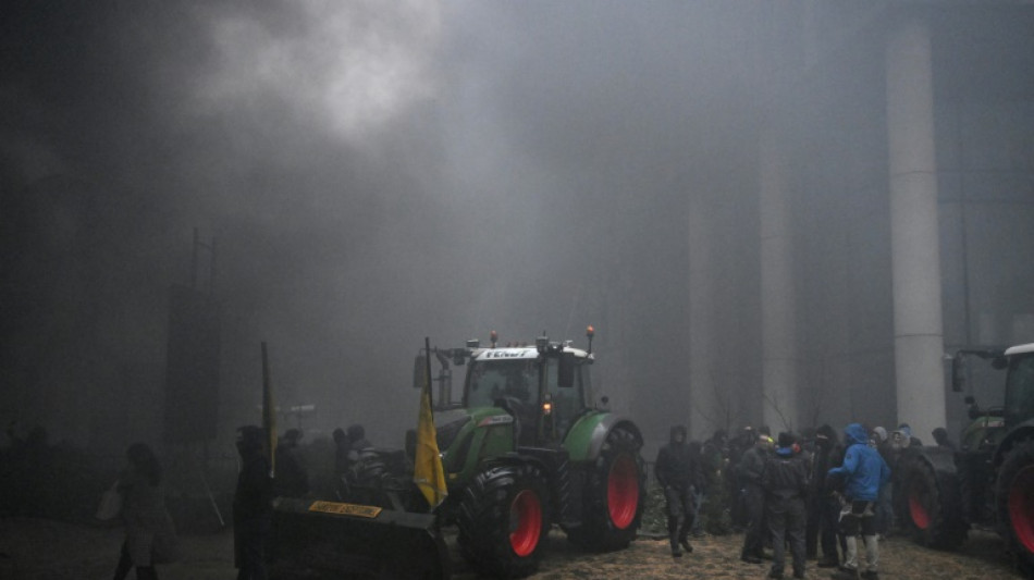 La Uni&oacute;n Europea estudia simplificar su pol&iacute;tica agr&iacute;cola bajo la presi&oacute;n de nuevas protestas