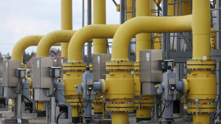 Il gas &egrave; in rialzo (+1,8%) a 79,5 euro al Megawattora