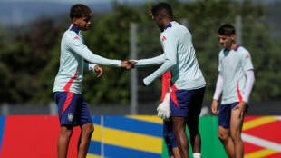 Espa&ntilde;a-Francia, duelo de estilos con la final de la Eurocopa como premio