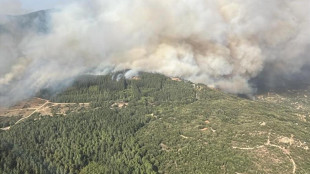 Incendio in Ogliastra, un centinaio di persone evacuate ad Arzana