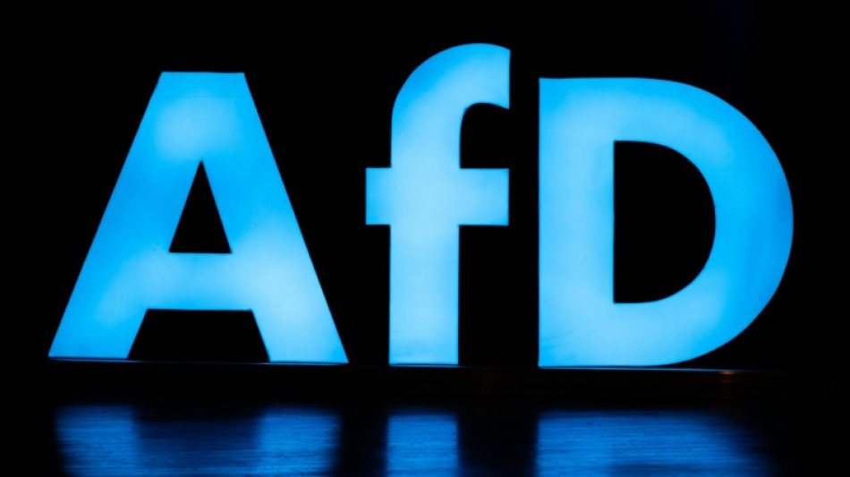 Bundestag hebt Immunit&auml;t von AfD-Abgeordneten Bystron und Gnauck auf