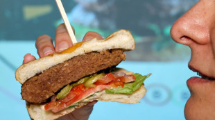 EU-Parlament stimmt für Namensverbot für Veggie-Burger