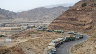 Llega a regi&oacute;n et&iacute;ope de Tigr&eacute; el primer convoy de ayuda alimentaria de la ONU desde el alto el fuego