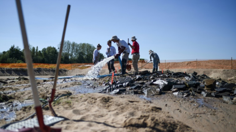 &Eacute;paves et p&ecirc;cheries m&eacute;di&eacute;vales, des vestiges "exceptionnels" mis au jour dans le lit de la Loire