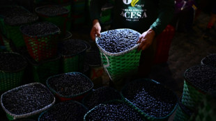 Brazil declares acai a national fruit to ward off 'biopiracy'