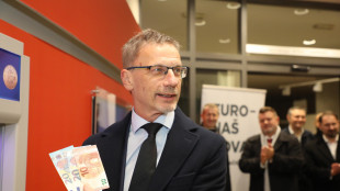 Il Pe conferma la nomina del croato Boris Vujcic come vicepresidente della Bce