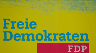 FDP-Fraktionschef D&uuml;rr zu Wirtschaft: "Nicht mehr Steuerzahlergeld ist die L&ouml;sung"