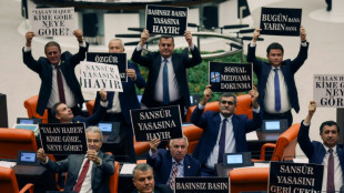 Turkey police raid pro-Kurdish news outlets, detain journalists 