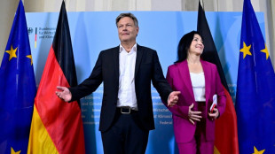 Alemania aboga por una política energética más "fiable"