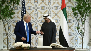 Vereinigte Arabische Emirate wollen 1,4 Billionen Dollar in den USA investieren