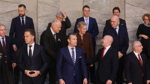 Piano Difesa Ue, fare coalizioni per colmare carenze Stati