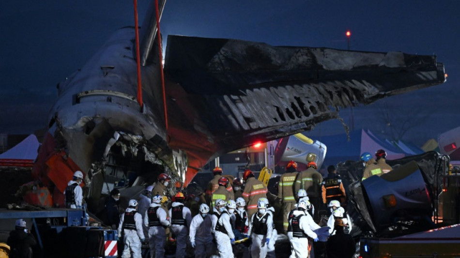 Cor&eacute;e du Sud: 179 morts et deux miracul&eacute;s dans le crash d'un avion de ligne