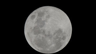 Il lander giapponese Resilience in orbita attorno alla Luna