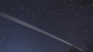 Stroppa,"l'ordine &egrave; Musk cattivo, Meloni venduta"
