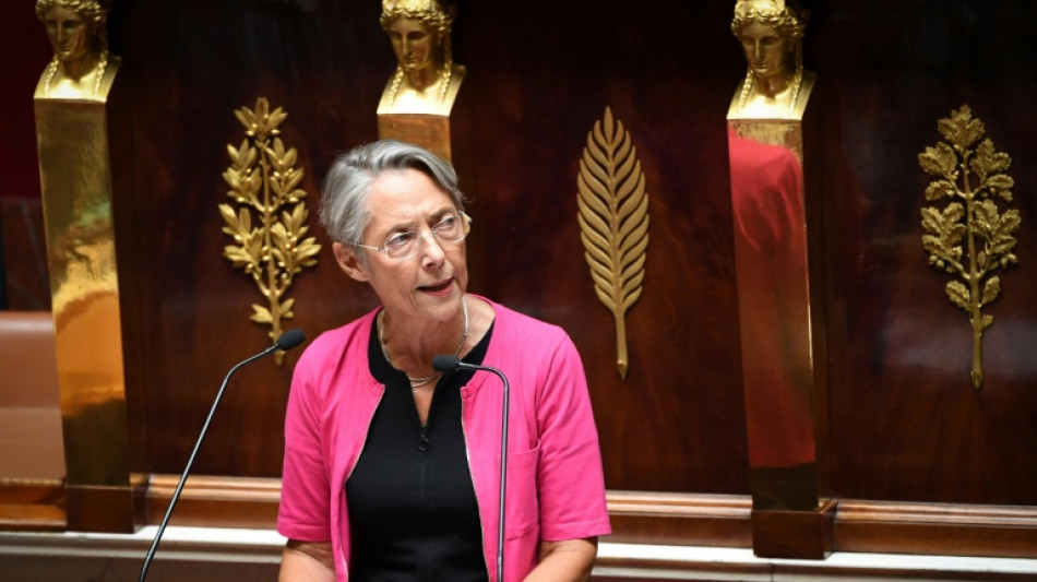 Francia quiere renacionalizar el gigante el&eacute;ctrico EDF