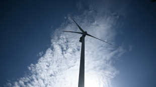Orsted files lawsuit against US suspension of wind turbine leases