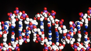 Oltre 140mila ripiegamenti nella mappa 4D del Dna umano dentro le cellule