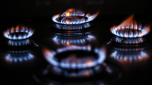 Sul mercato libero le tariffe del gas sono scese del 16%