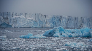 Kallas, 'Pechino amplia la sua presenza nell'Artico, restiamo vigili'