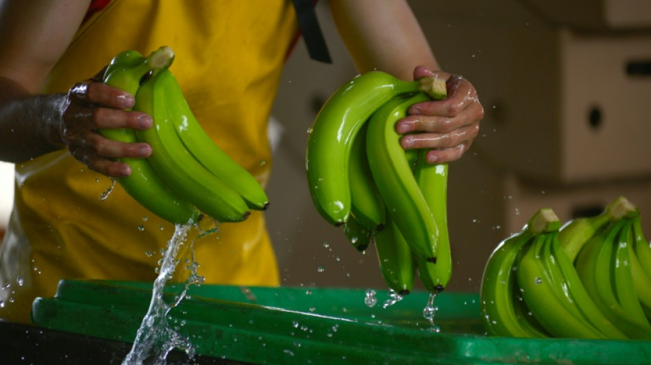 Ecuador considera "imposible" acuerdo comercial con M&eacute;xico sin banano y camar&oacute;n