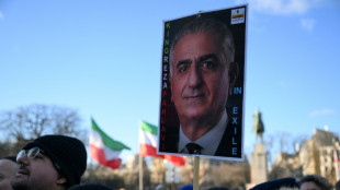 Reza Pahlavi, l'ancien prince h&eacute;ritier qui se r&ecirc;ve acteur-cl&eacute; du changement en Iran