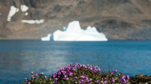 Greenland fossils reveal greater sea-level threat from climate change