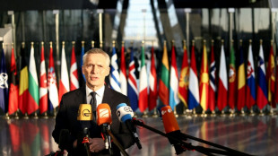 La OTAN no descarta la adhesi&oacute;n por separado de Suecia y Finlandia