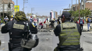 Per&uacute; declara toque de queda en Puno, epicentro de protestas contra el gobierno