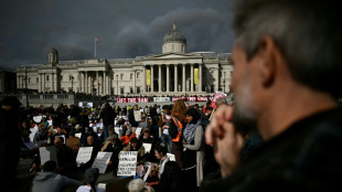 Royaume-Uni: rassemblements propalestiniens, malgr&eacute; les appels &agrave; ne pas manifester apr&egrave;s l'attaque contre une synagogue